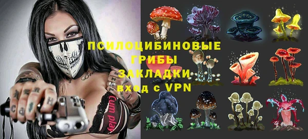 круглые Алексеевка