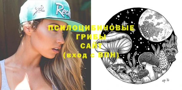 круглые Алексеевка