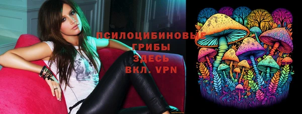 круглые Алексеевка