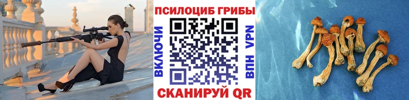 Псилоцибиновые грибы Cubensis Кореновск